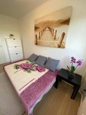 Private cozy room in spacious and modern apartment